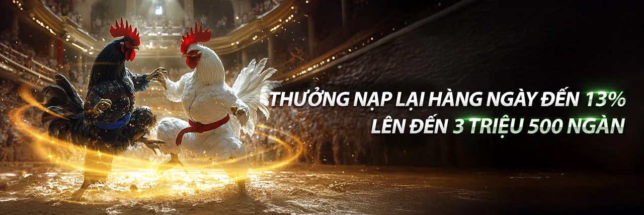 Giao diện đăng nhập 555winto
