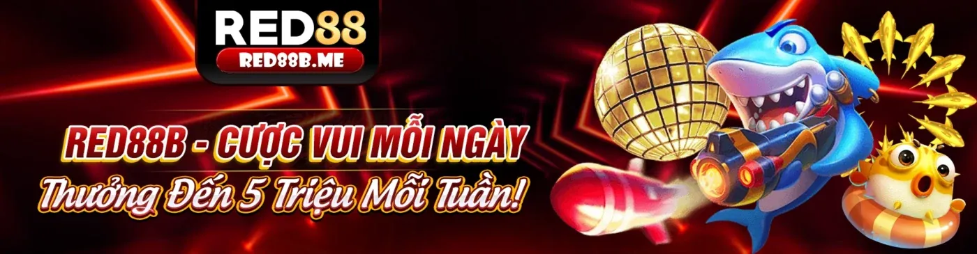 Ưu đãi sinh nhật và VIP 555winto